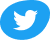 twitter icon